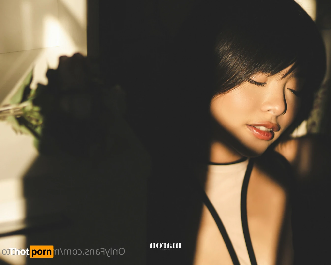 MARON Photo 14107600