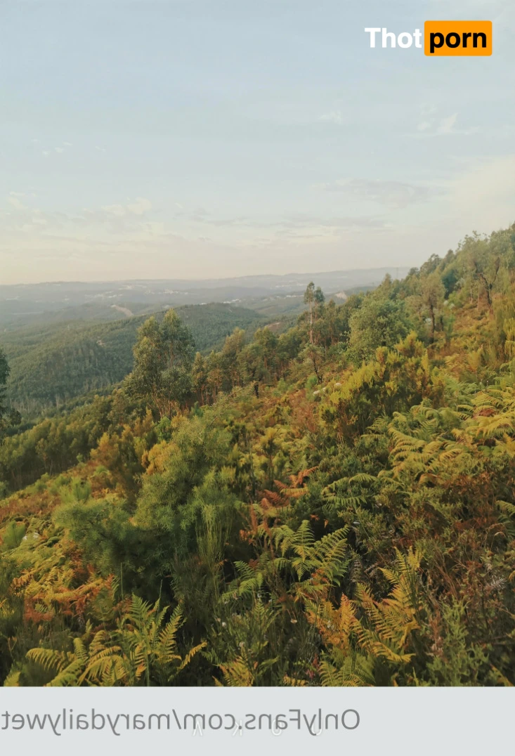 💦Marcy Xіть 14032675