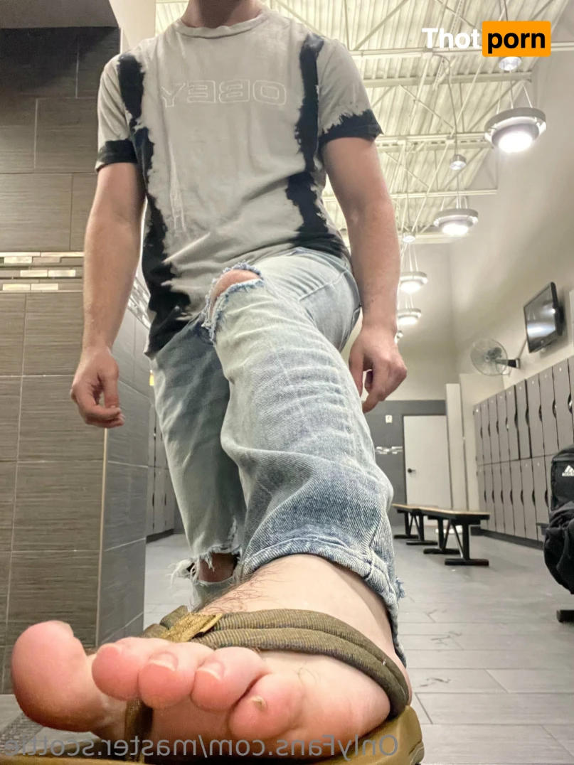 Master Scottie 13847897