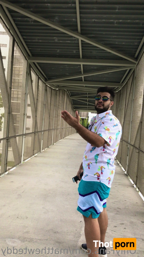 Matthew Teddy 13829567