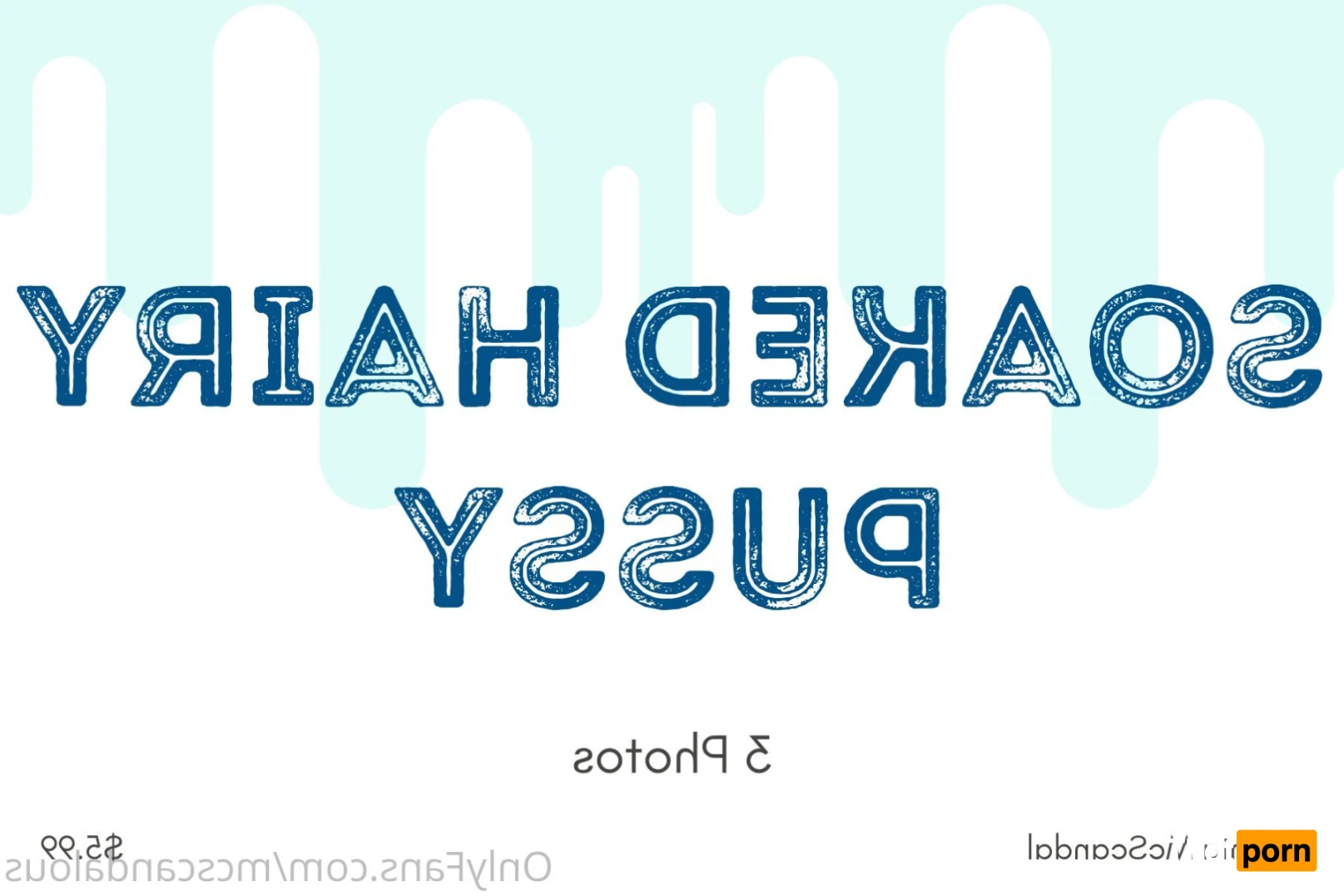 BBW • MILF • Big Tits • All Natural 13497592