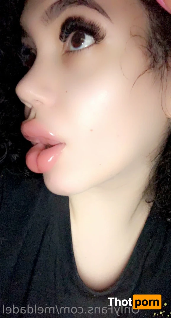 meldadel 13297243