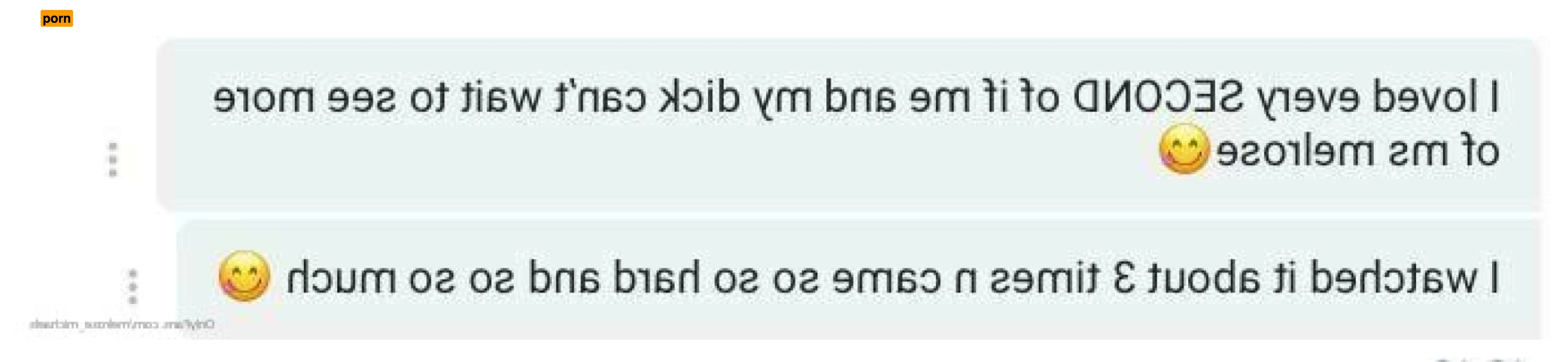 MelRose Michaels 13016797