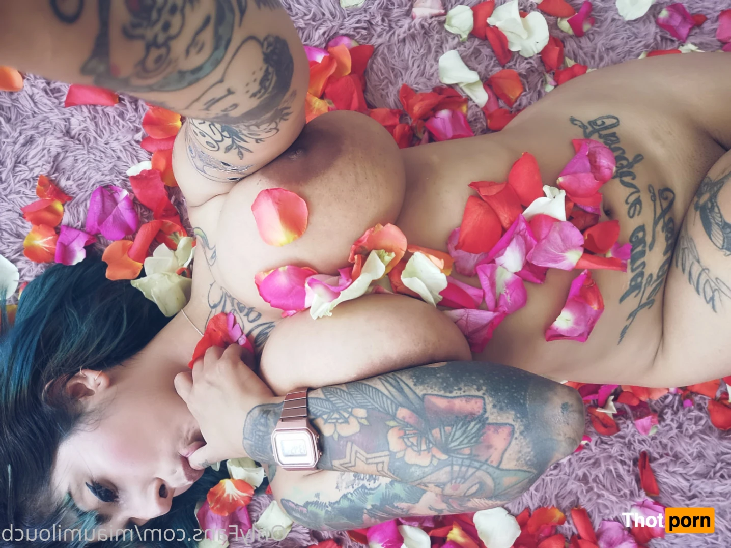 🐱NinjaFuckinKitty🐱 12693462