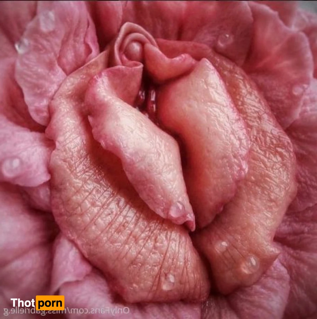 Miss. Gabrielle 12204624