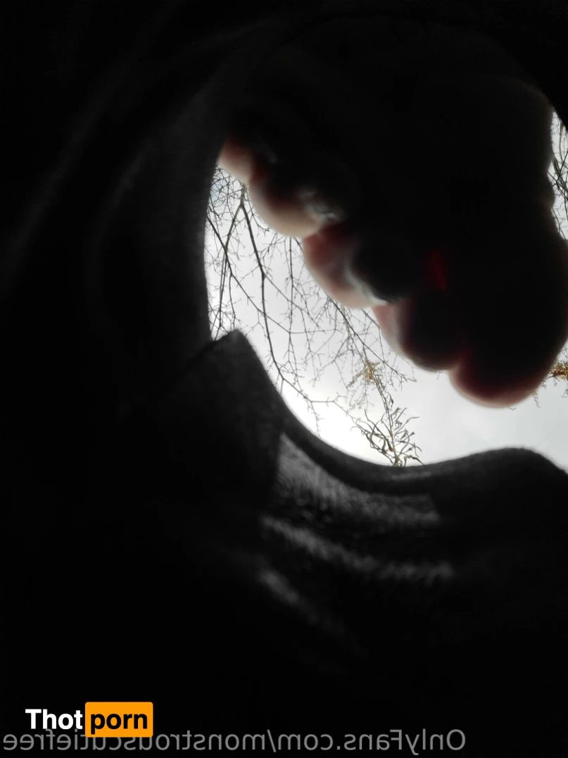 MonstrousCutie's Freebies 16481838