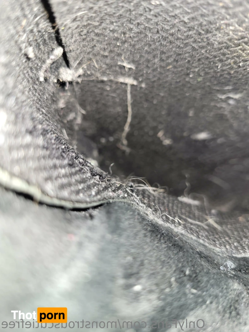 MonstrousCutie's Freebies 16482182