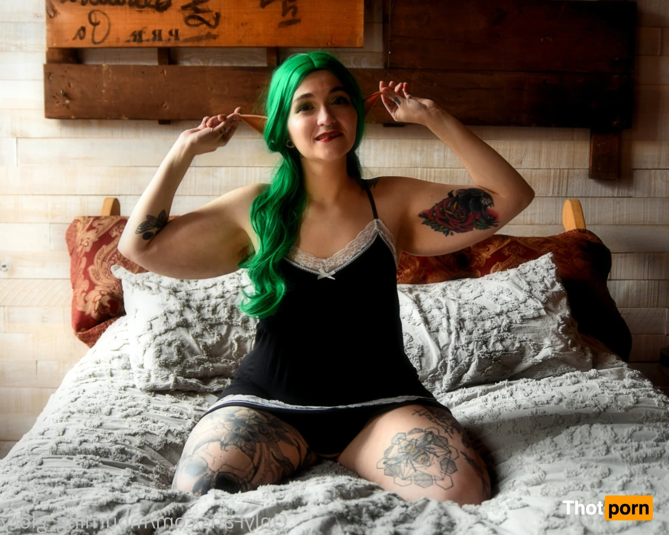 mourning_glory 16460266