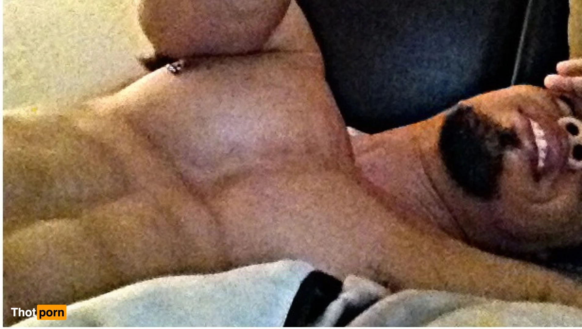 MrDonello 🔥👑 16416762