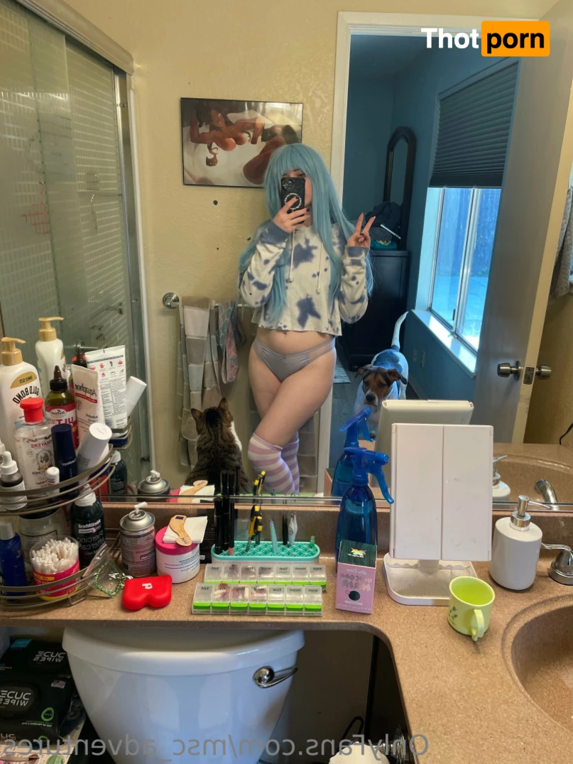 msc_adventures 16403265