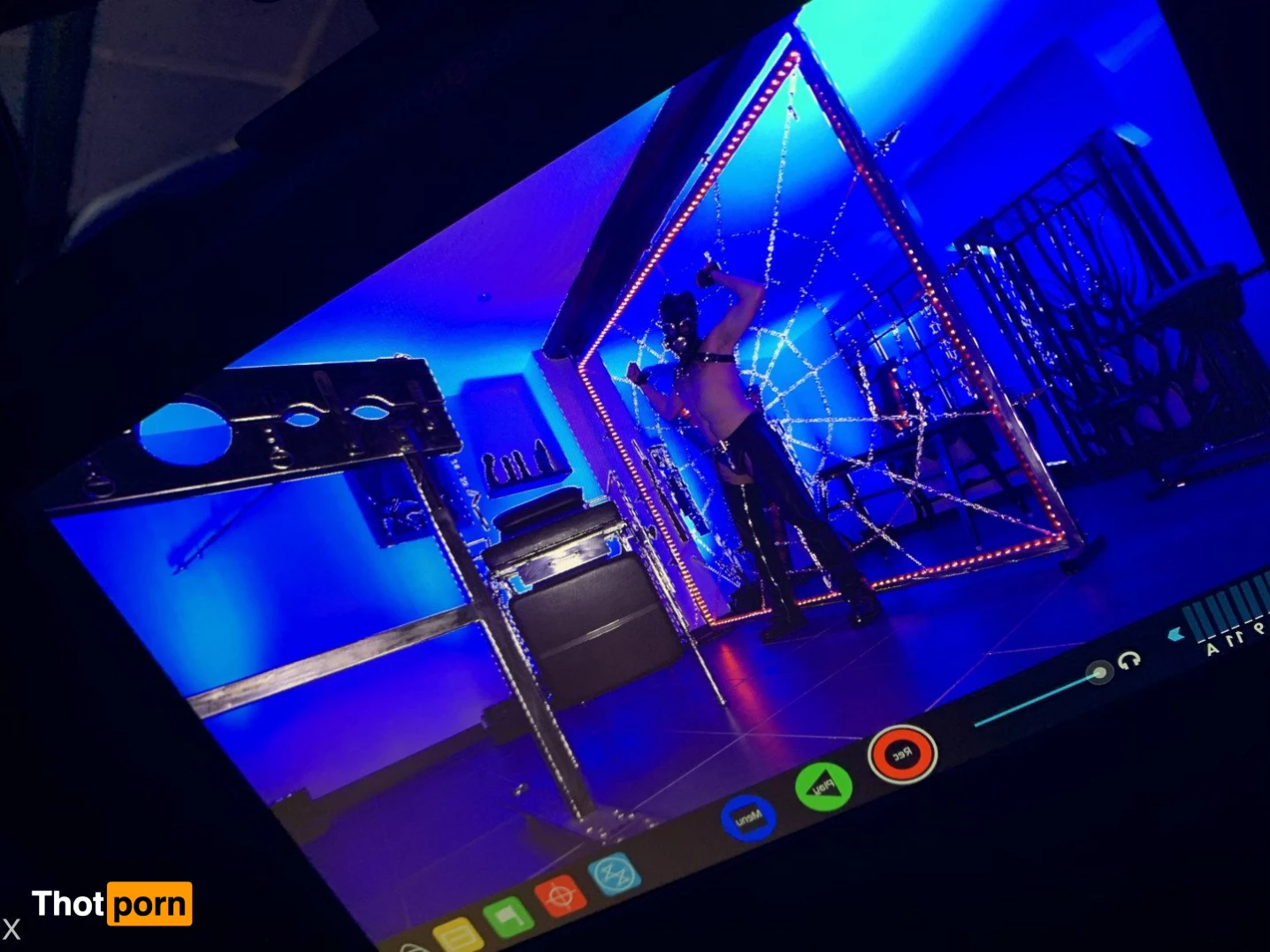 Nikita Bellucci 908732