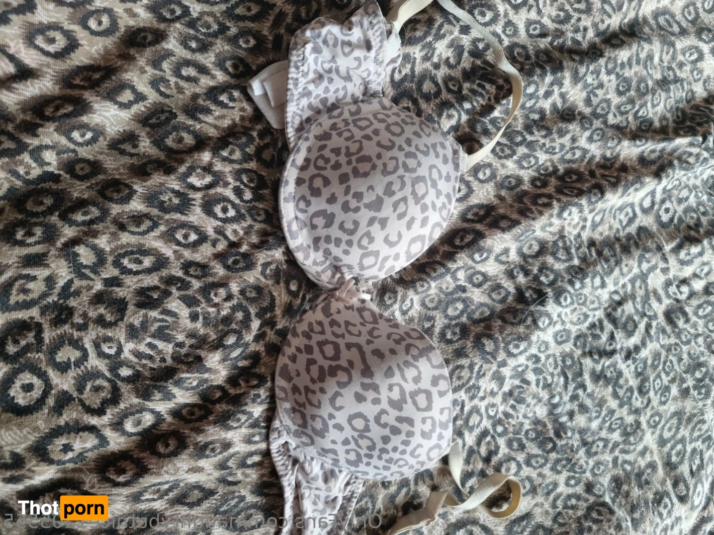 ❤️Irish chick❤️ Vip Page 16096359