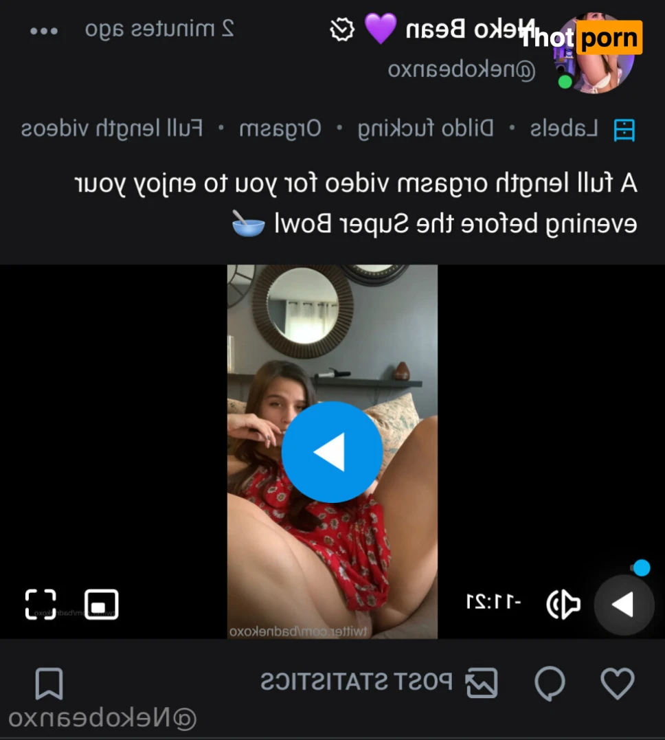 Neko Bean 🐾 xo 15998445