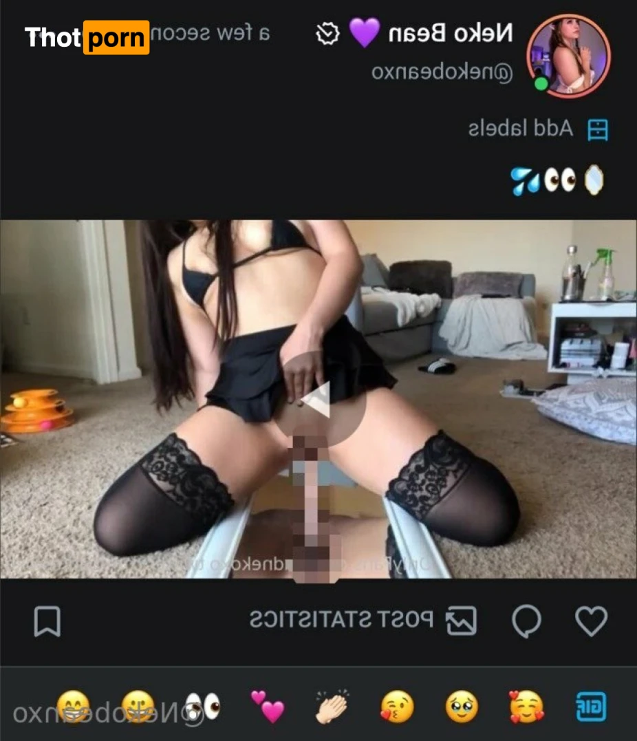 Neko Bean 🐾 xo 15998560