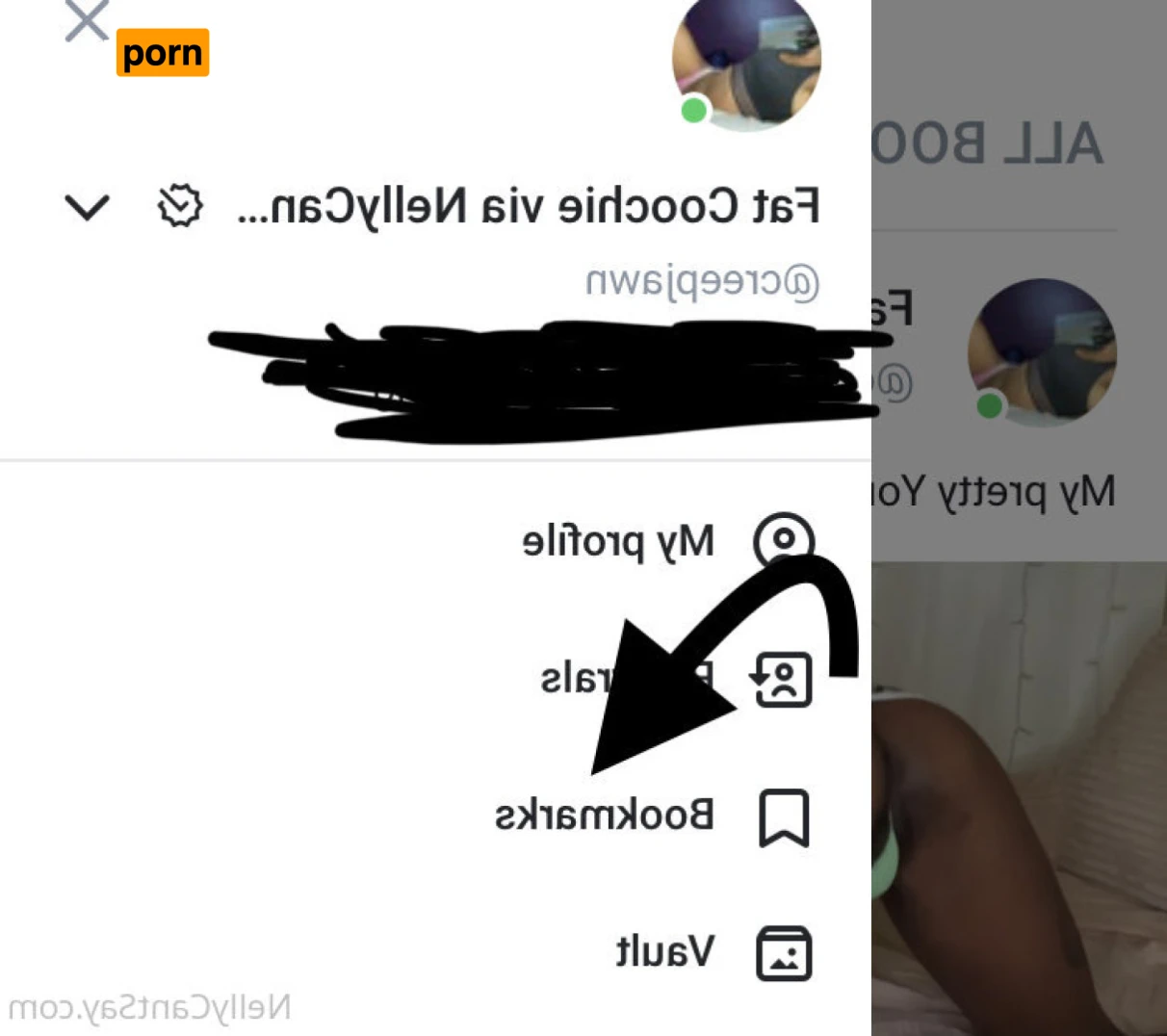 NellyCantSay 15996543