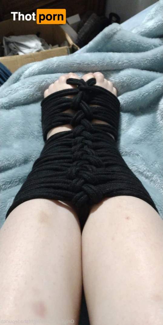 Midnight Raven 15868628