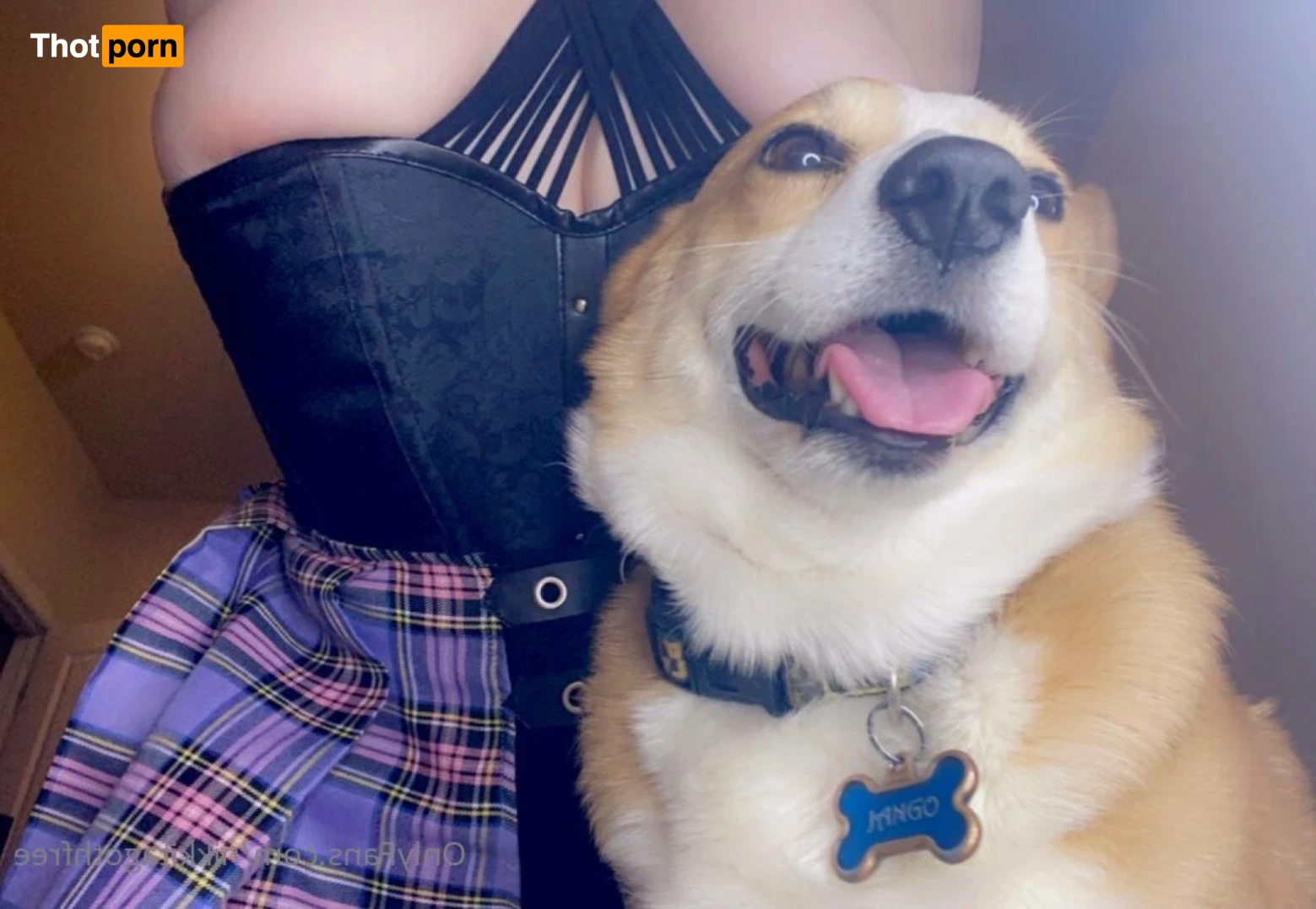 Nikkita Goth 🖤 FREE 11195795