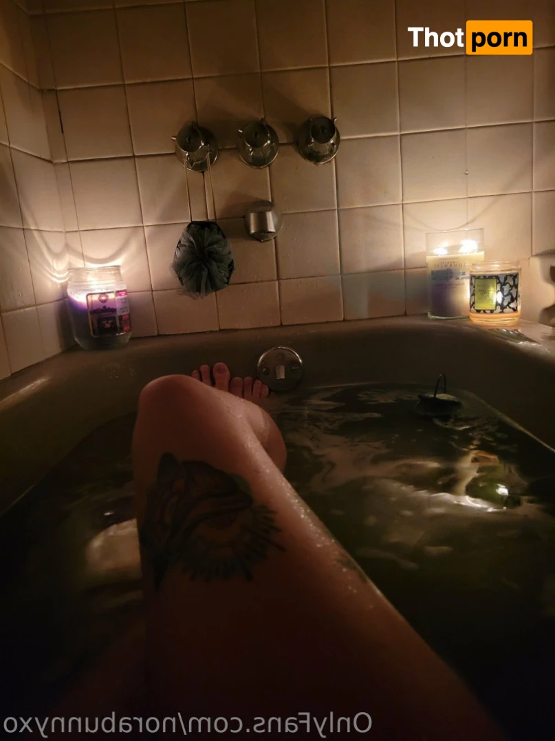 Nora Degausser 15740171