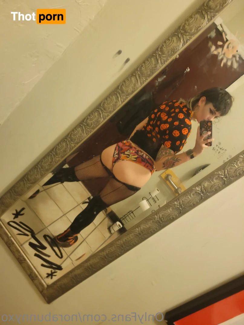 Nora Degausser 15740501