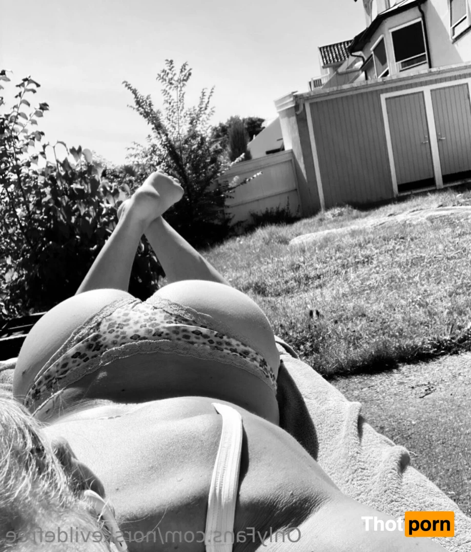 norskevildefree 15739765