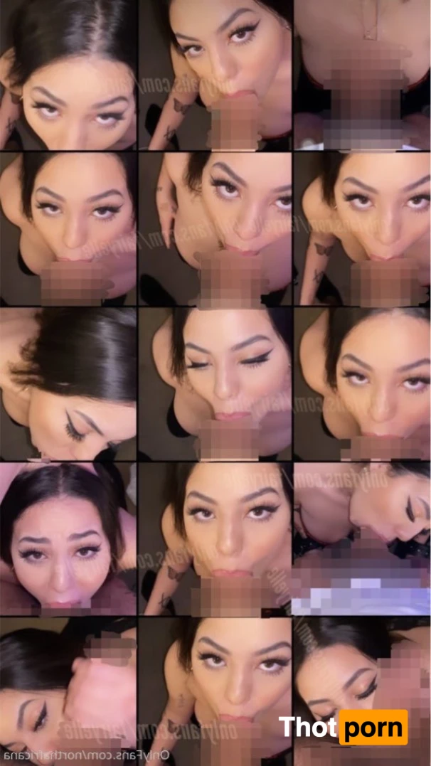 northafricana 15739414