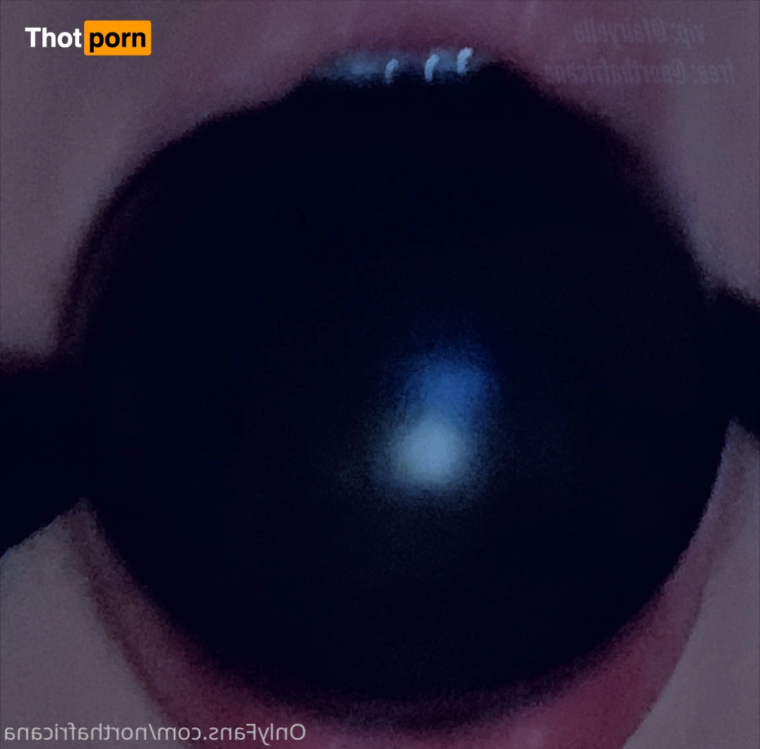 northafricana 15739607