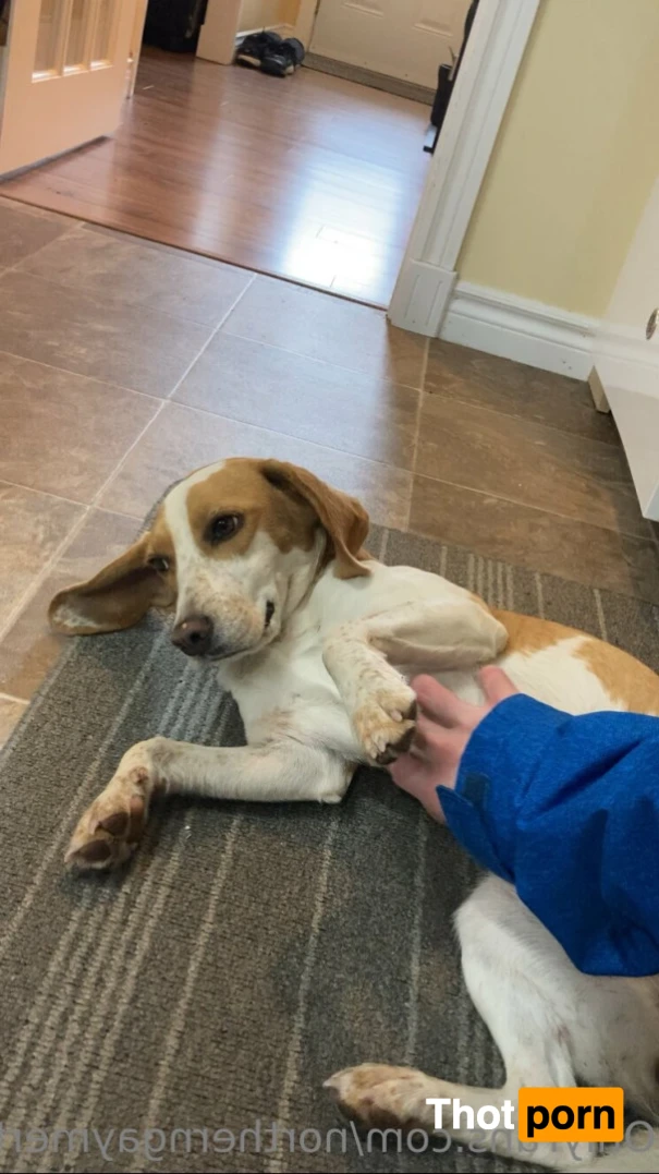 JacknMax 🎮 🍆 💦 🍑 🌈 15738884