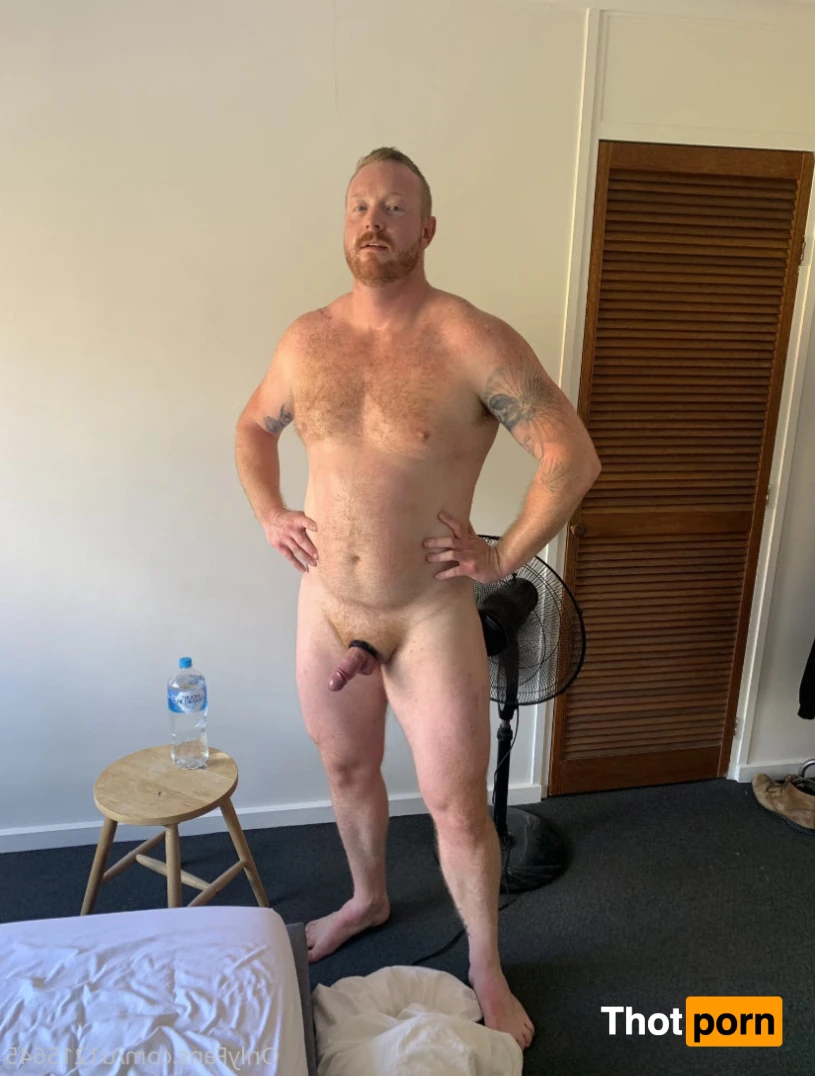 Northside Giant 10901432