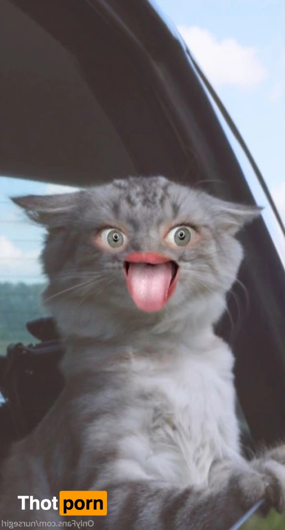 Nurse Bella XXX 15708188