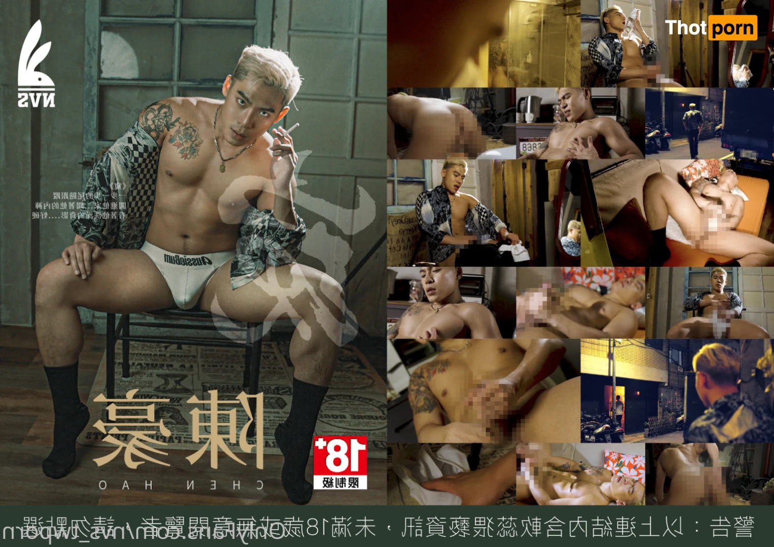 NVS - Taiwanese Gay Porn 15704291