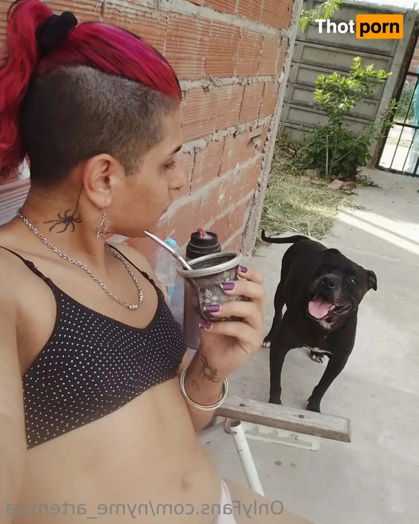 Nymeria Artemisa 15687638