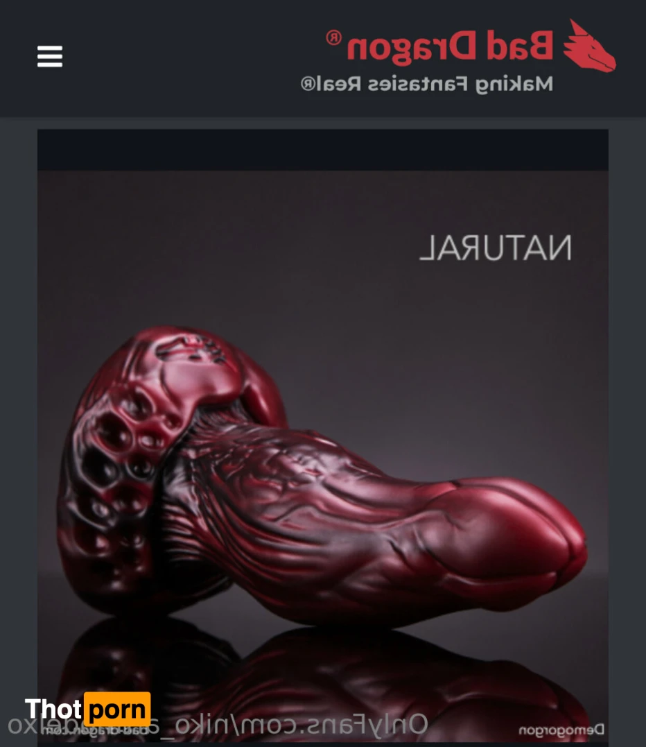 Niko_Artmodel 14135336