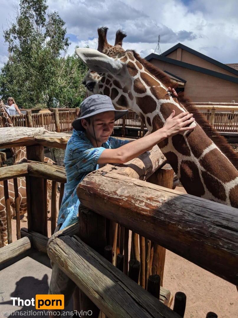 Jimmy Collins 15624956