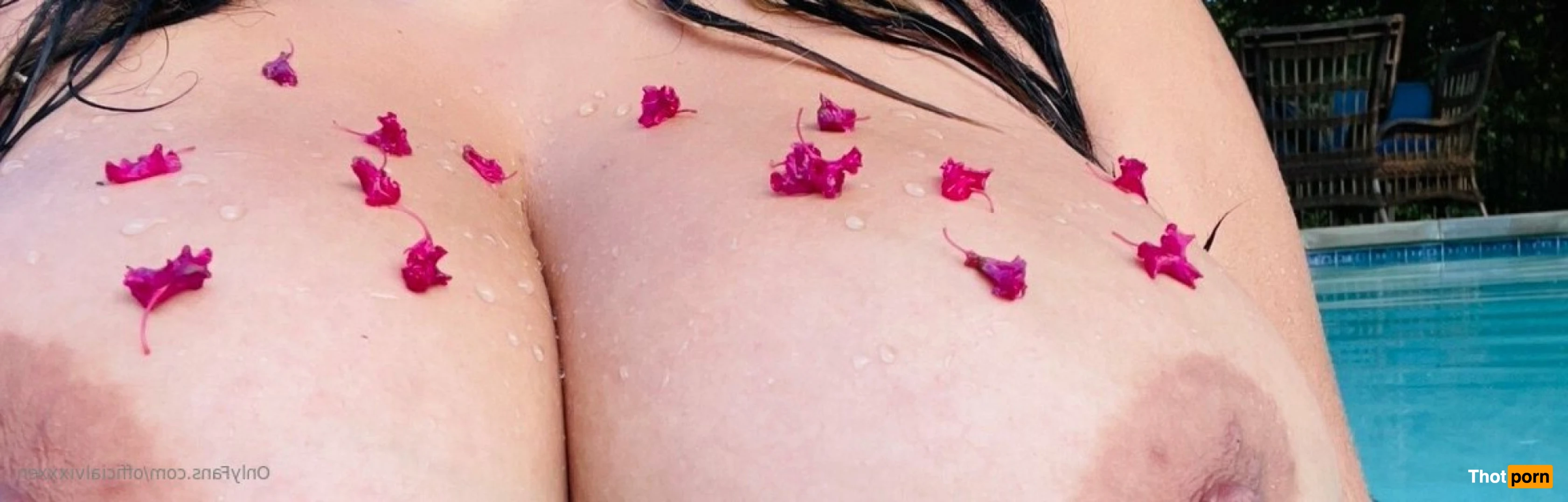 Veronica Vixen 15623020