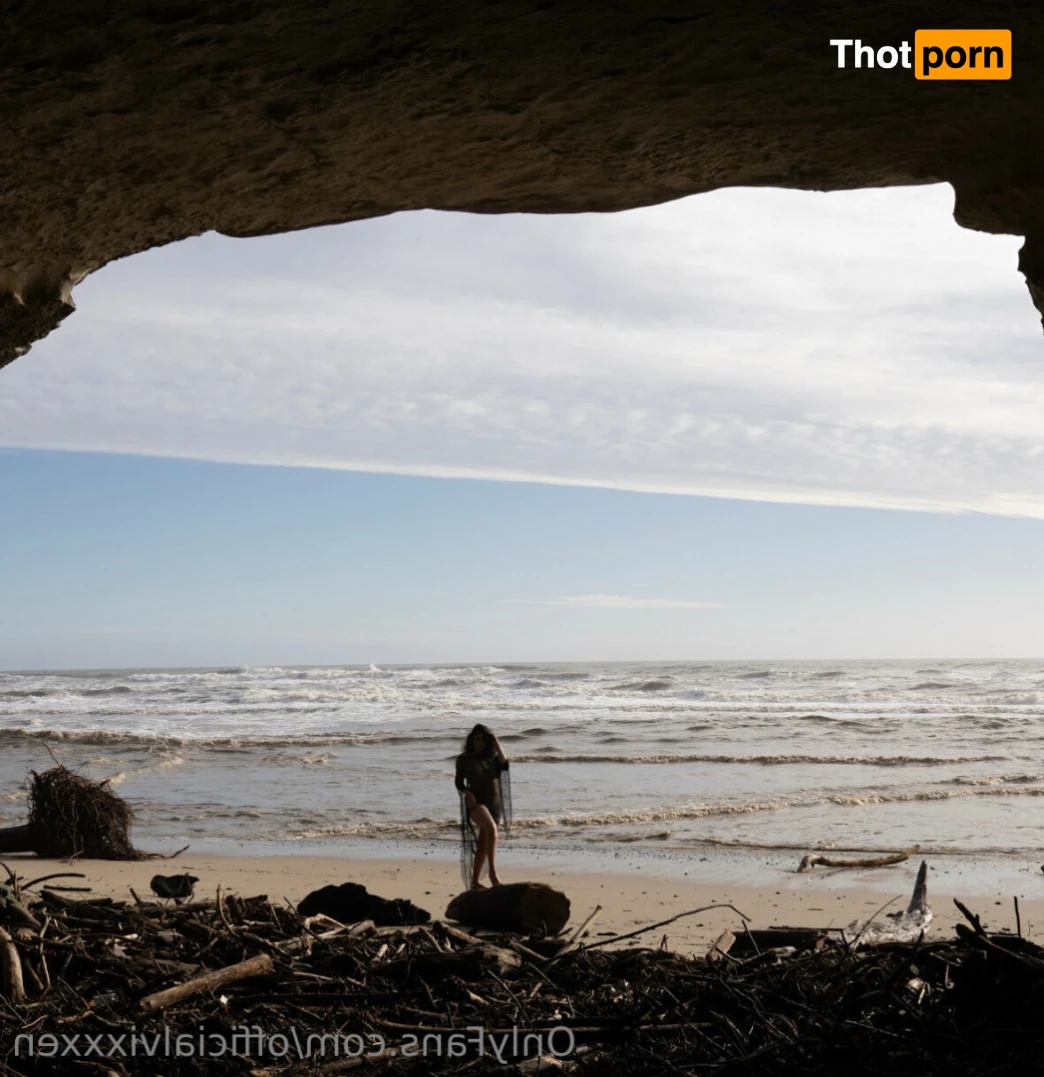 Veronica Vixen 15623120