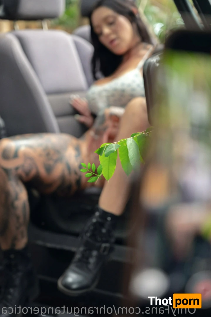 Ohrangutang Erotica 15616556