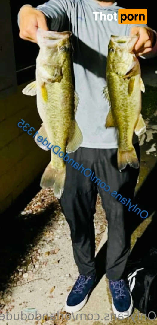 OrlandoDude 15353737