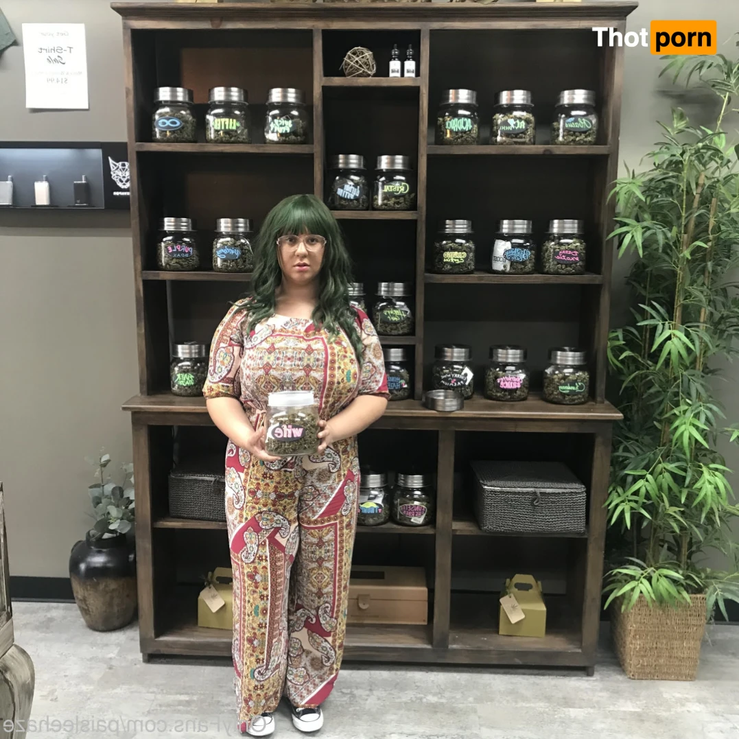 Paislee’s Playhouse 15219209