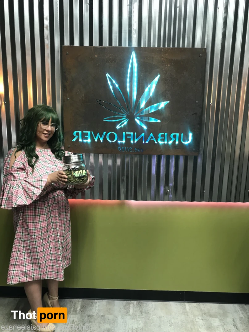 Paislee’s Playhouse 15219468