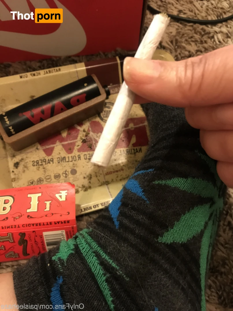 Paislee’s Playhouse 15219537