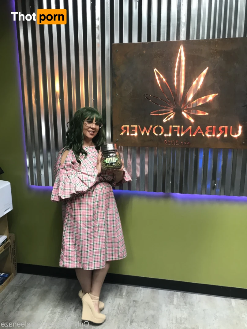 Paislee’s Playhouse 15219558