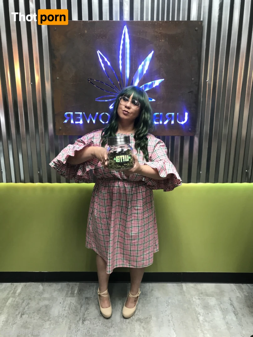 Paislee’s Playhouse 15219577