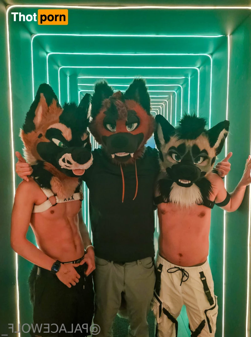 PalaceWolf [ palacewolf ] OnlyFans leaked photo 15218378 on Thotporn