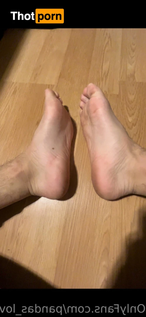 Panda_lover🐼❤️ 15217884