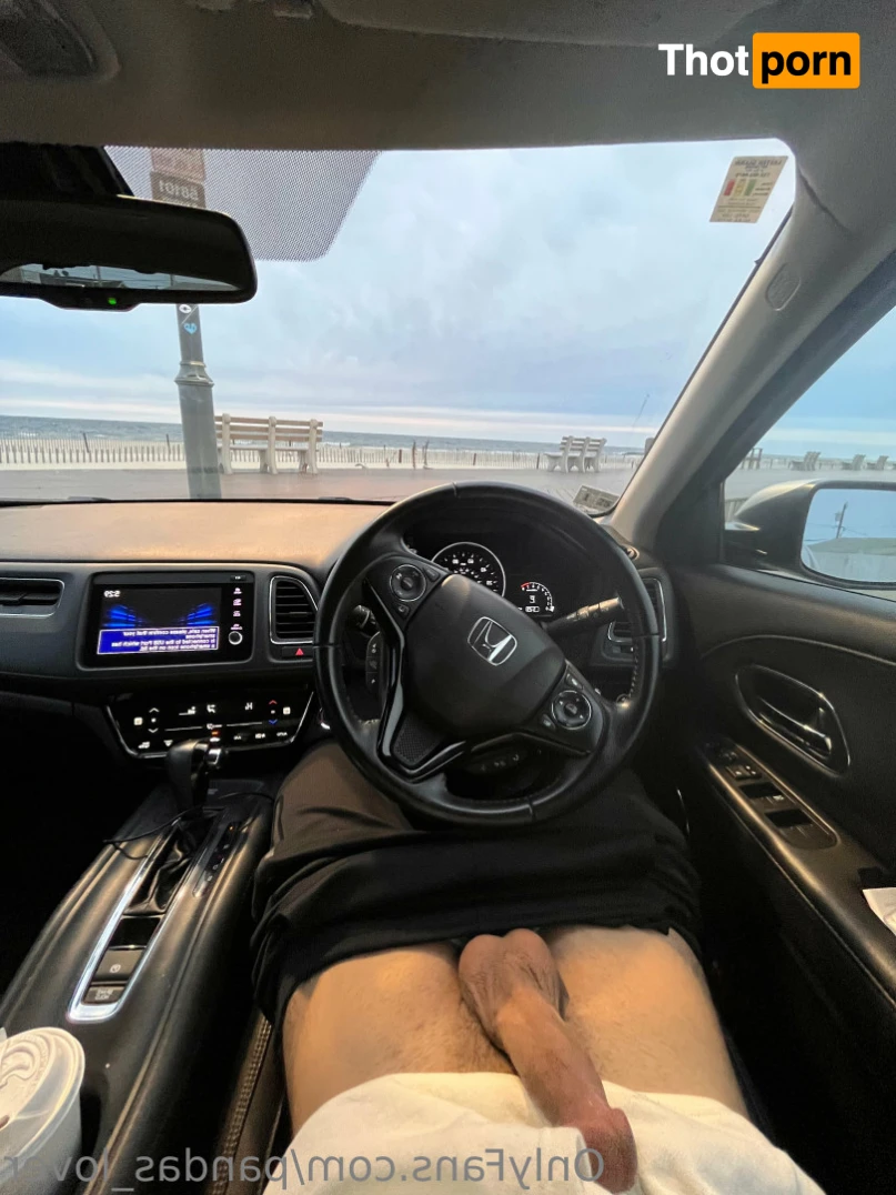 Panda_lover🐼❤️ 15217907