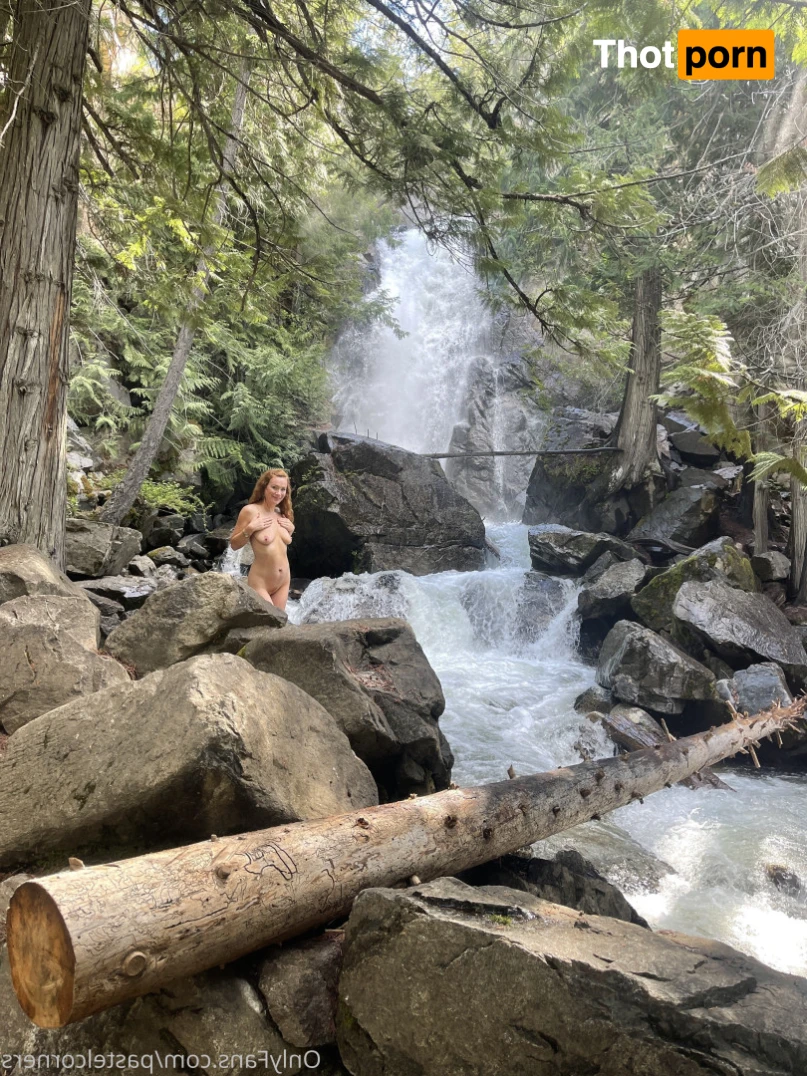 Ginger Corners 15196426