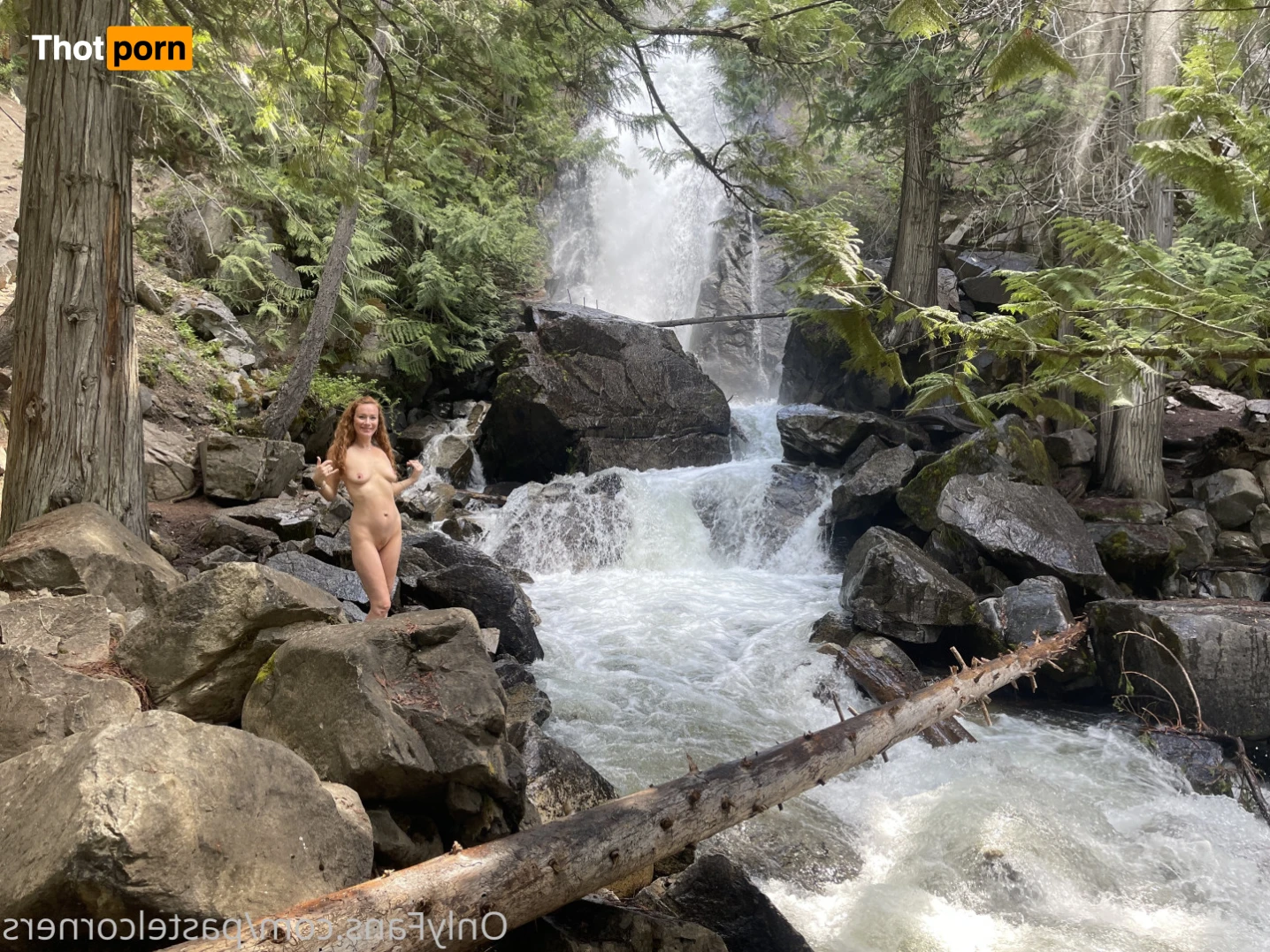 Ginger Corners 15196591