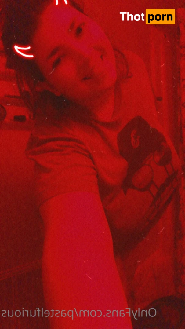 Pastel Kitten ✨ 15177065