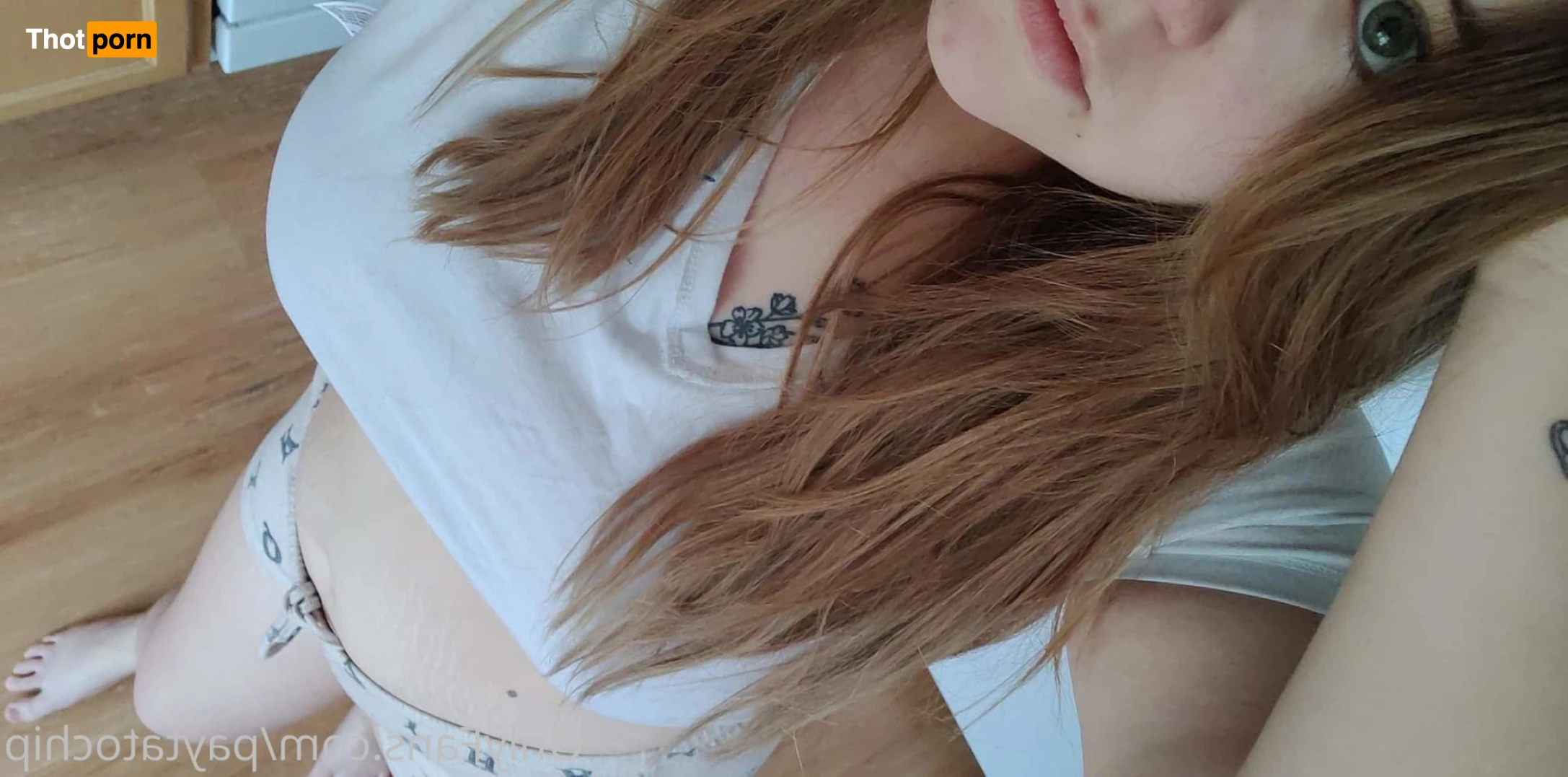 paytatochip 15026341