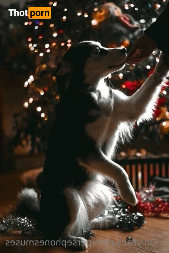 Perse ✨💗 10983419